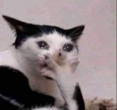 ribkun