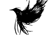blackbirdcalls