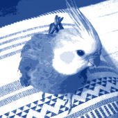 青