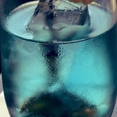 🐝