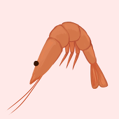 crustaceanabby