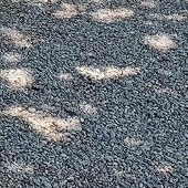 良野