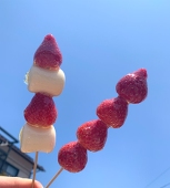 藤奏