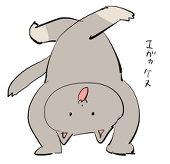 浅木