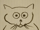 トムのトムチン