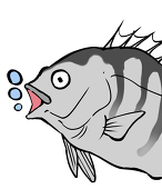 チンヌ
