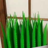 スコリア