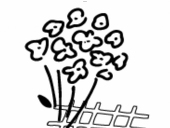 みなみ