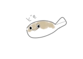 おでん