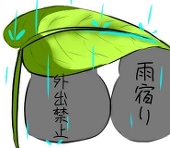 飛鳥九