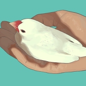 ︎にそみ