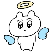 小智3000问