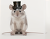 老鼠公爵(MouseKKK)