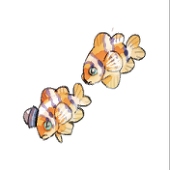 オイカワマコ