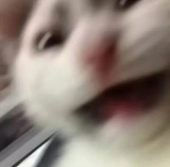 教义