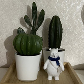 ハルナコ