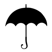 雨