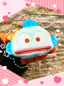 ぴよきち