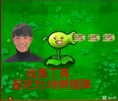碳列强攻