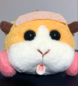 わ〜い