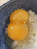 おさかな