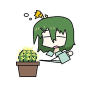 かなわく