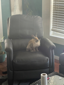 Kaboodle