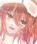 きなこ