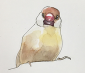 のだまち