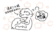 四野漫談