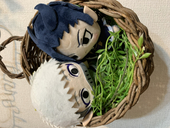 あごだし