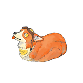 かい
