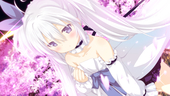 mashiro