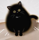 百慕猫