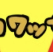 彩猫