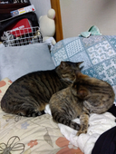 うちュ