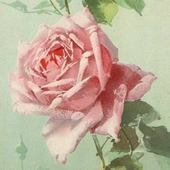 Persephone