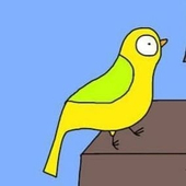 きゃっぱ