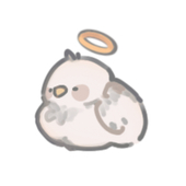 星野hoshino