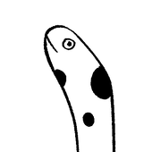 吉田丸 悠