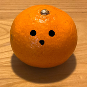 柑橘類
