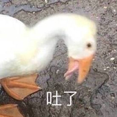 MING_SONG魒緲