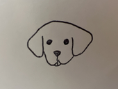 わぞまる。