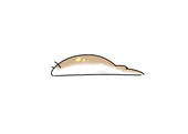 ナメクジ