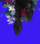 柊 けい