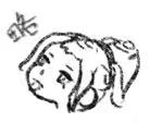 炮炮