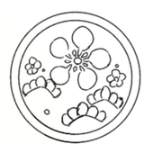ねぎ