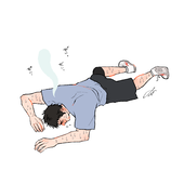 おさかな/鮮魚