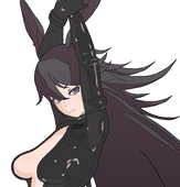hario5