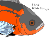ドカ ドカ